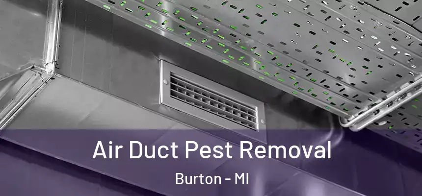  Air Duct Pest Removal Burton - MI