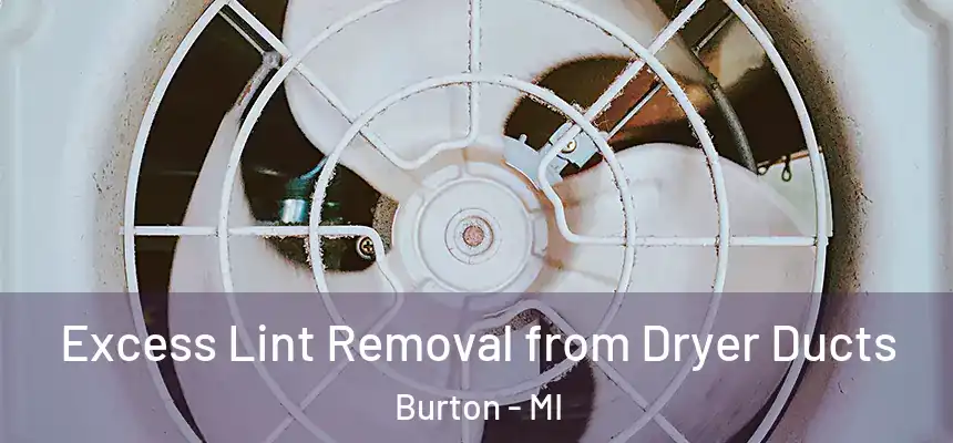 Excess Lint Removal from Dryer Ducts Burton - MI