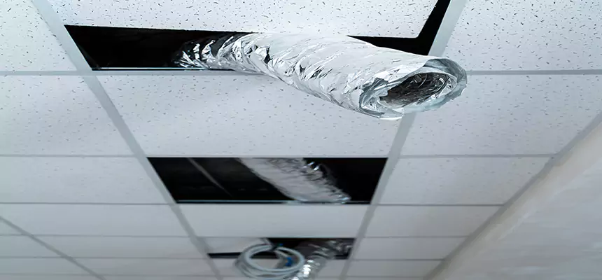 Our Air Duct Pet Hair Removal Services in Burton, MI