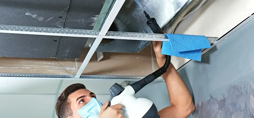 Our Air Duct Rodent Removal Services in Burton, MI