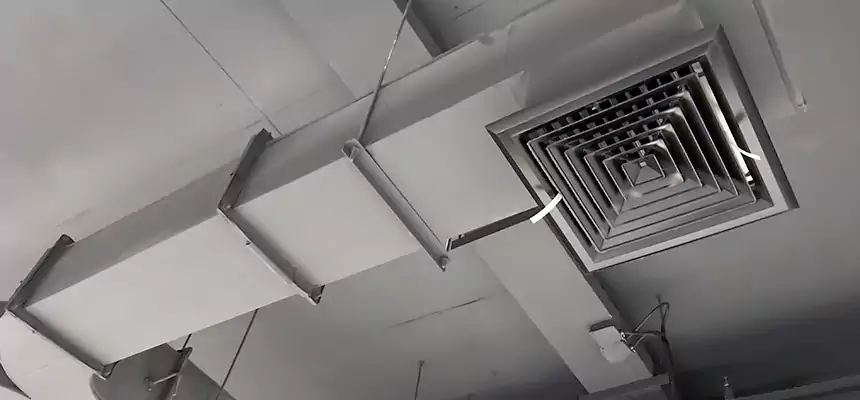 Restorative Allergy Relief Vent Cleaning – Coil, Blower & Housing Detail in Burton