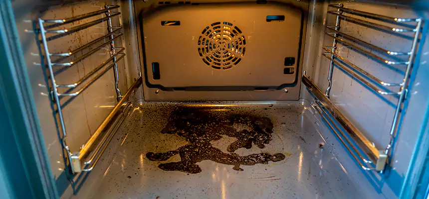 Our Dryer Vent Mold Cleaning Services in Burton, MI