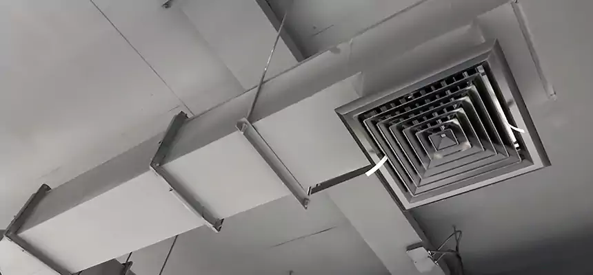 Our Rodent Droppings In Vents Services in Burton, MI