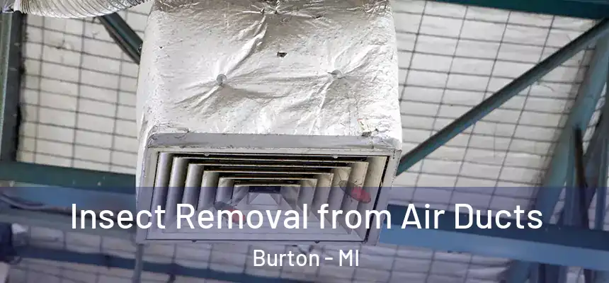  Insect Removal from Air Ducts Burton - MI