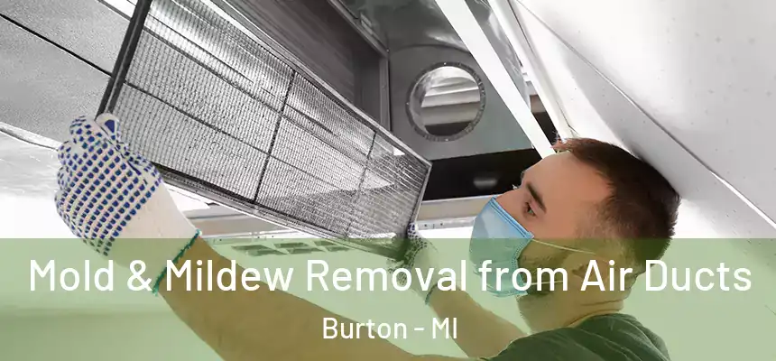 Mold & Mildew Removal from Air Ducts Burton - MI