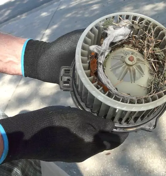 About Air Duct Rat Removal in Burton, MI