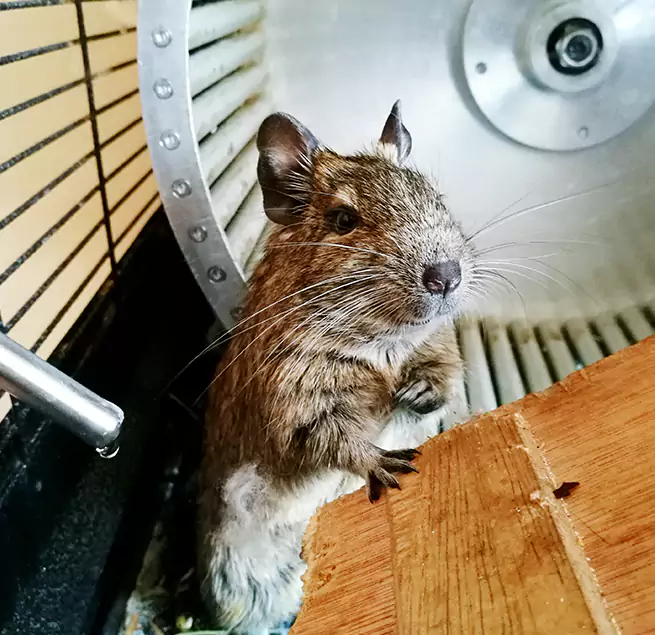 Why Homeowners & Businesses Trust Us Burton, MI?