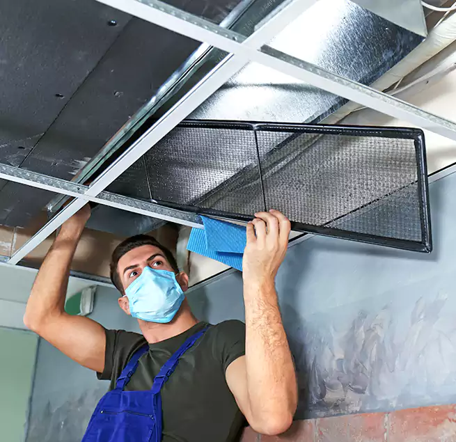 Why Homeowners Businesses Trust Us in Burton, MI