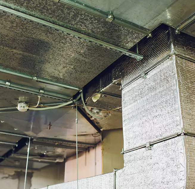 Why Homeowners & Businesses Trust Us in Burton, MI?